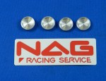 NAG10-010